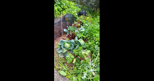 Fools spring is almost over!