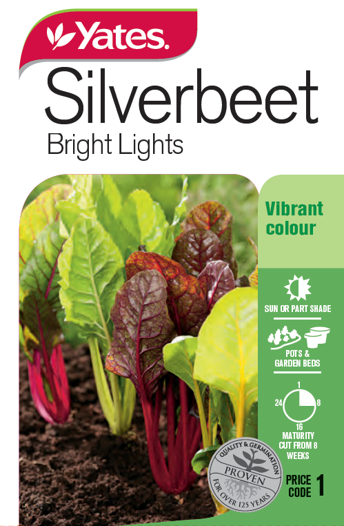 Silverbeet 'Bright Lights'