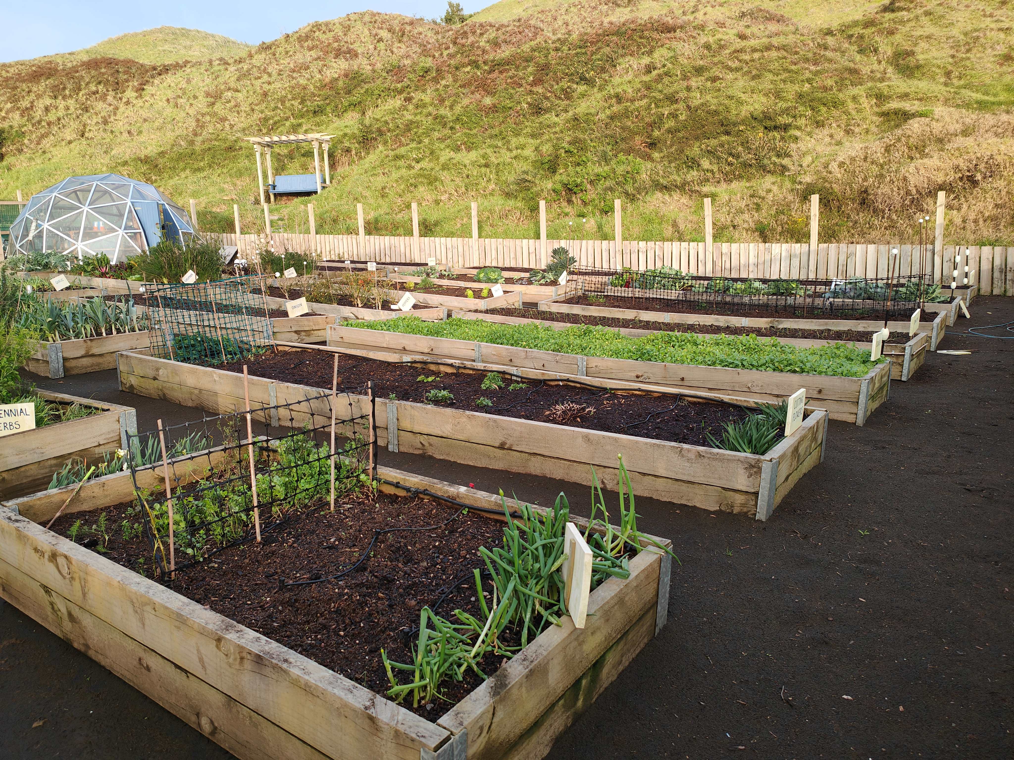 Nine Weeks Until Spring