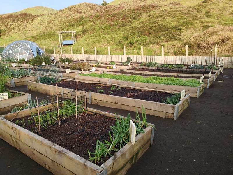 Nine Weeks Until Spring