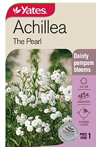 Yates Y35 971 Achillea The Pearl 2021