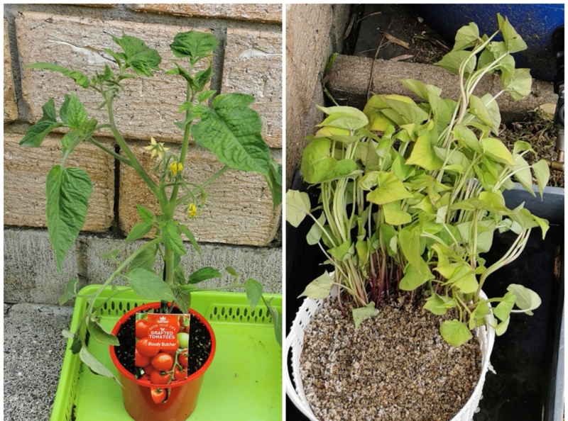 Money does not buy happiness!