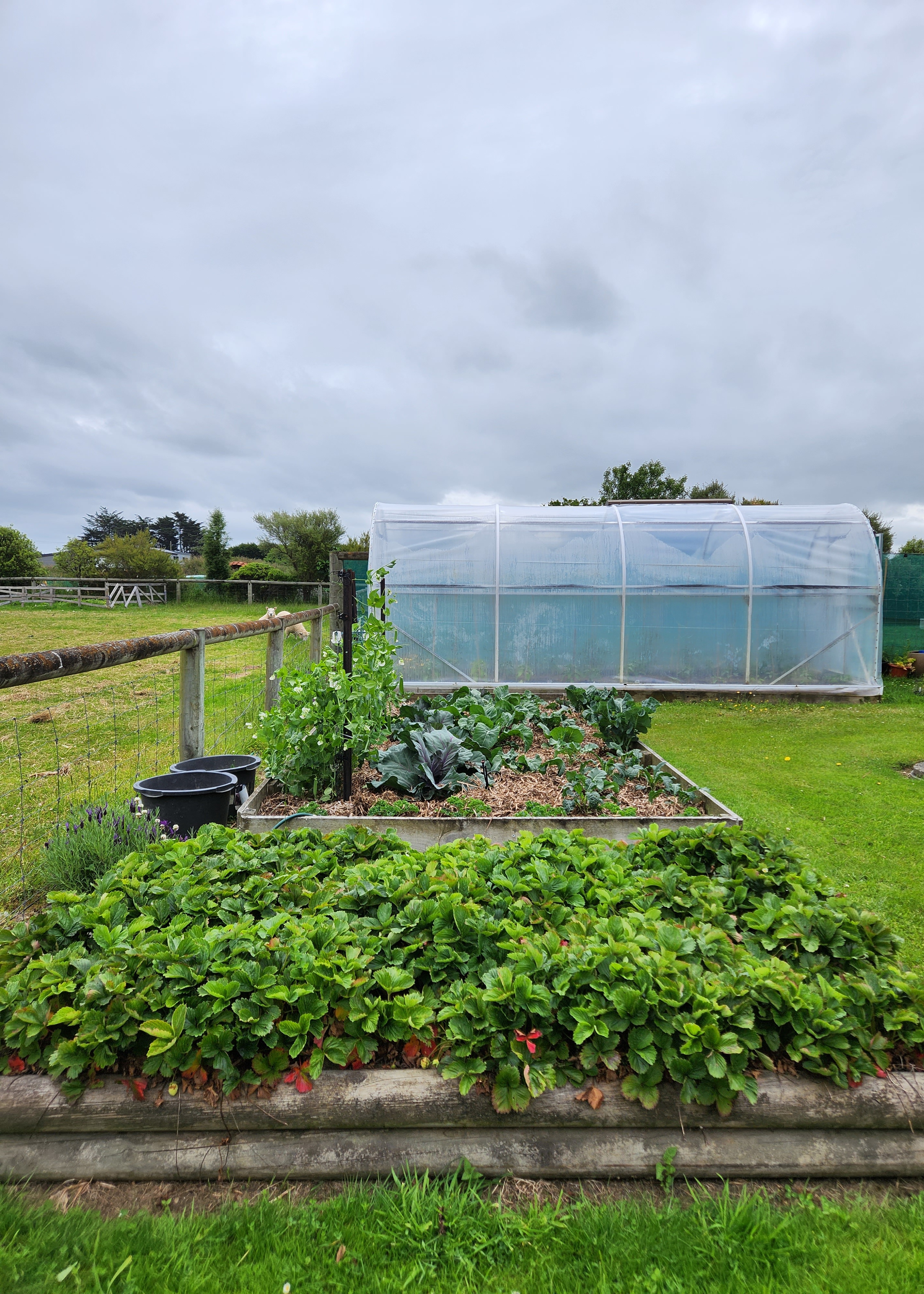 Area One of my Happy Place