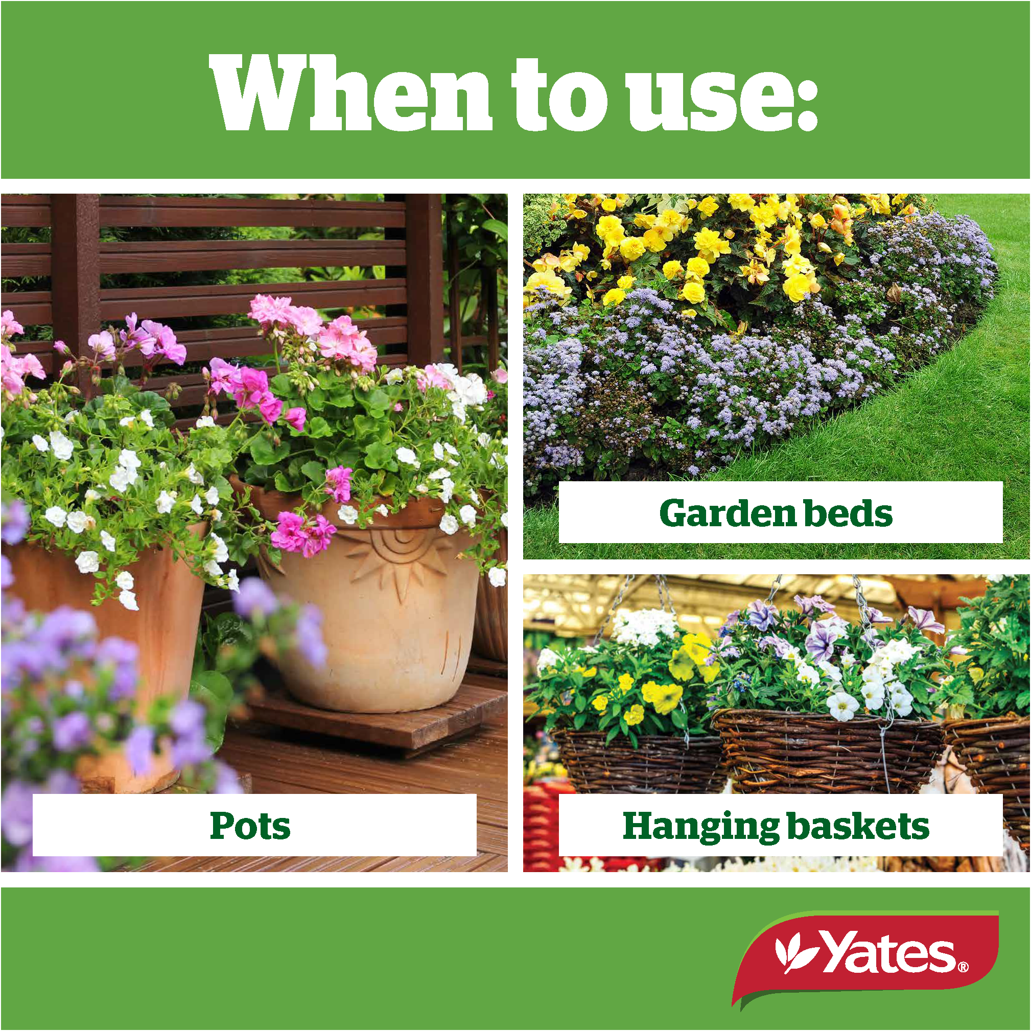 Thrive Naturals Rosesflowers V2 Png Page 2