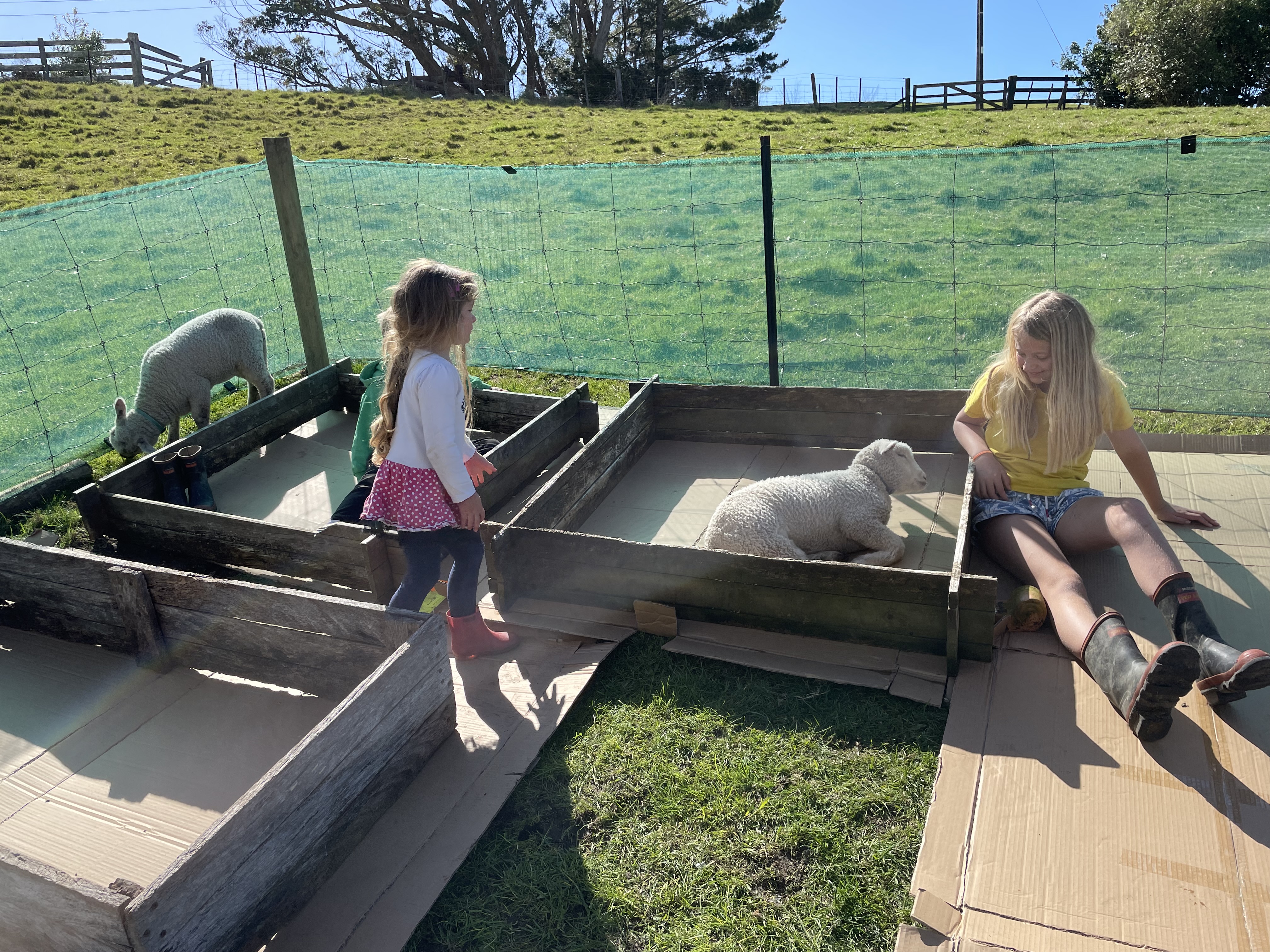 putting cardboard under the garden