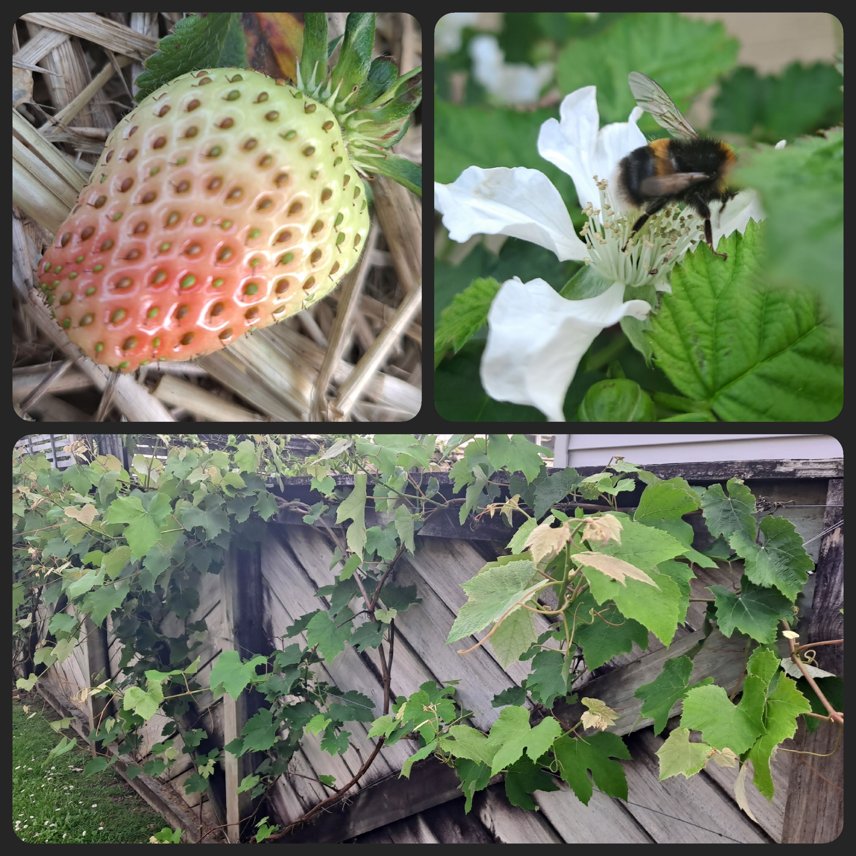 Sometime You Lose and Sometimes You Win