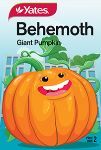 Behemoth - Giant Pumpkin