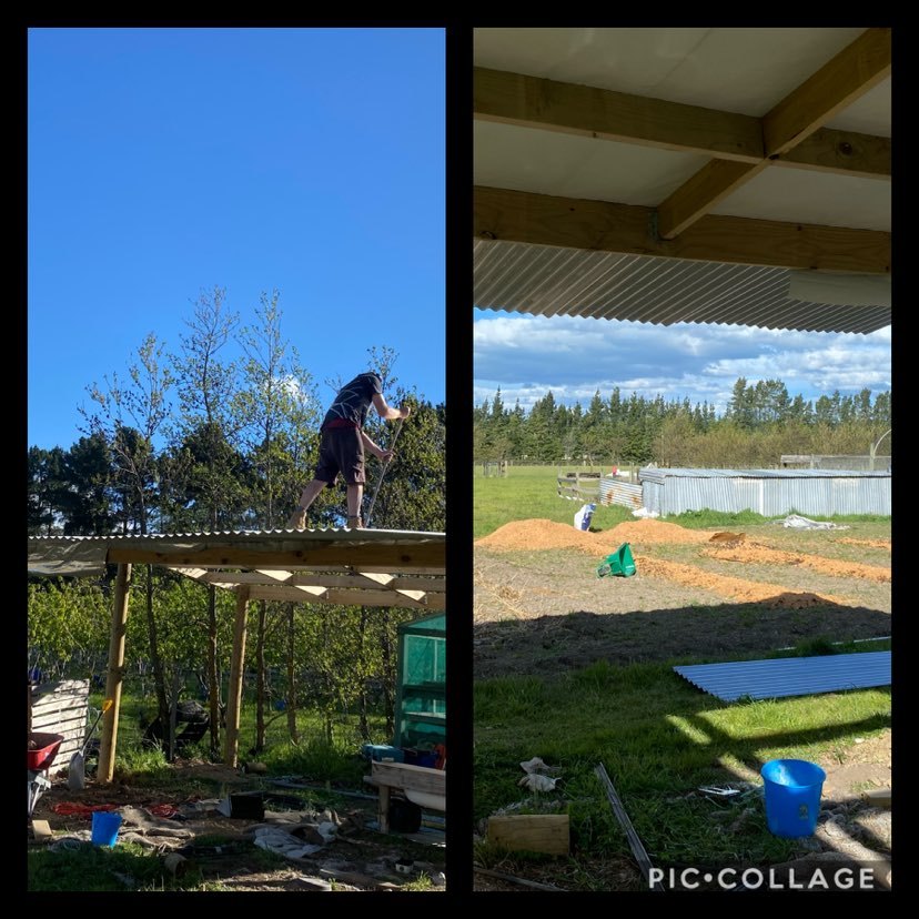 Did your husband sweep the roof ?