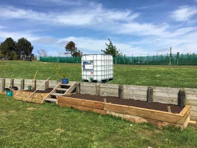 She’s an absolute beginner 