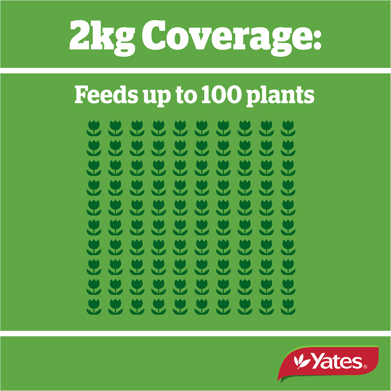 Yates Roses And Flowers Granulars V1 04