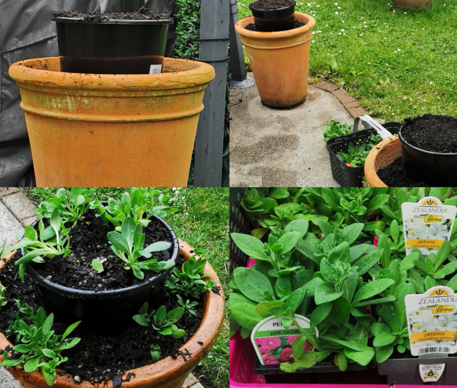 Break from veg today. 