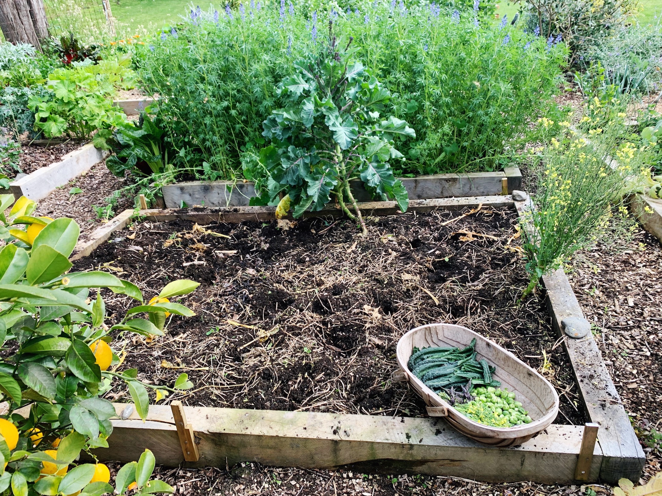 EXPECTED, BUT UNWANTED VISITOR