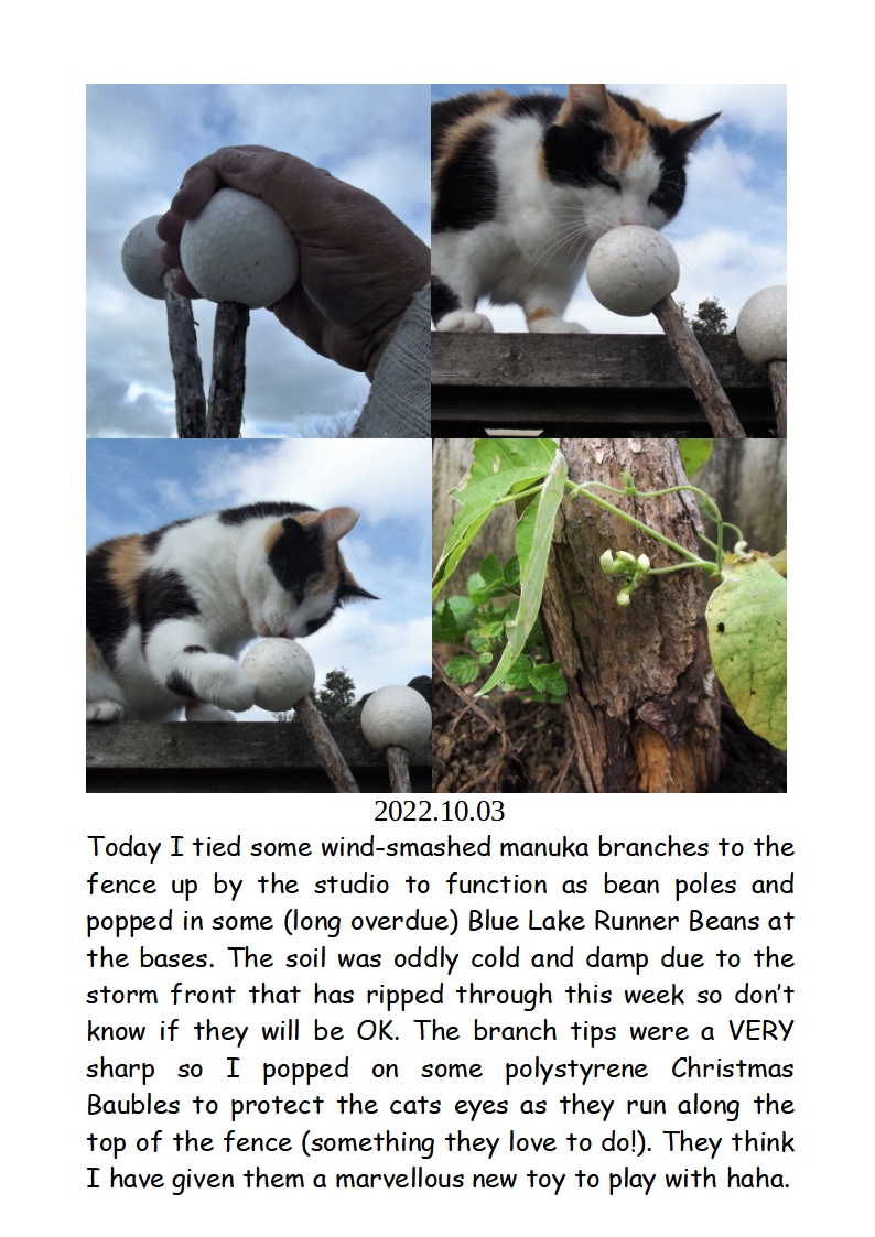 eye injury prevention in the garden