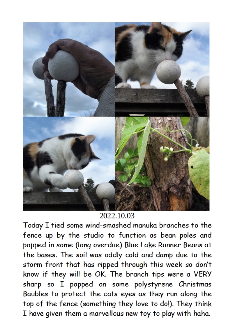 eye injury prevention in the garden