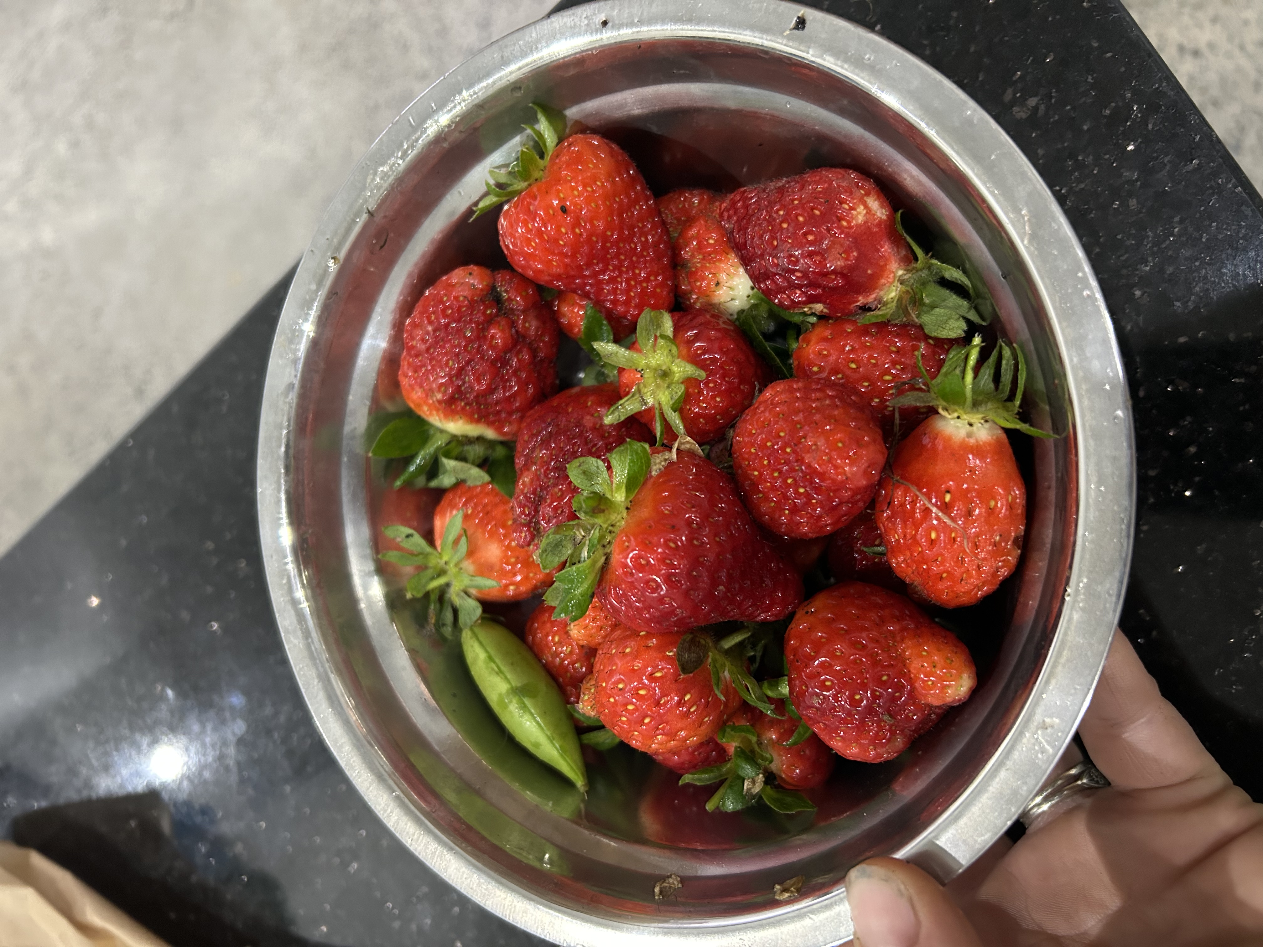 Sunday in the garden