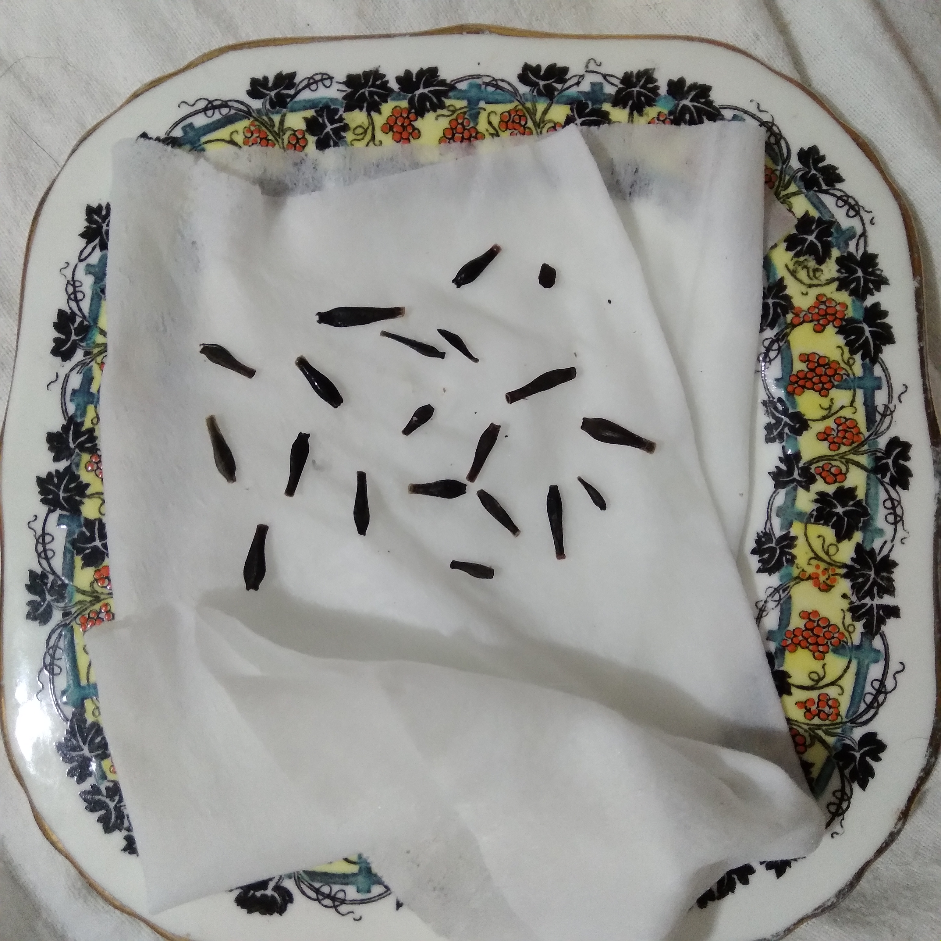 Dad's Seed Sowing Method