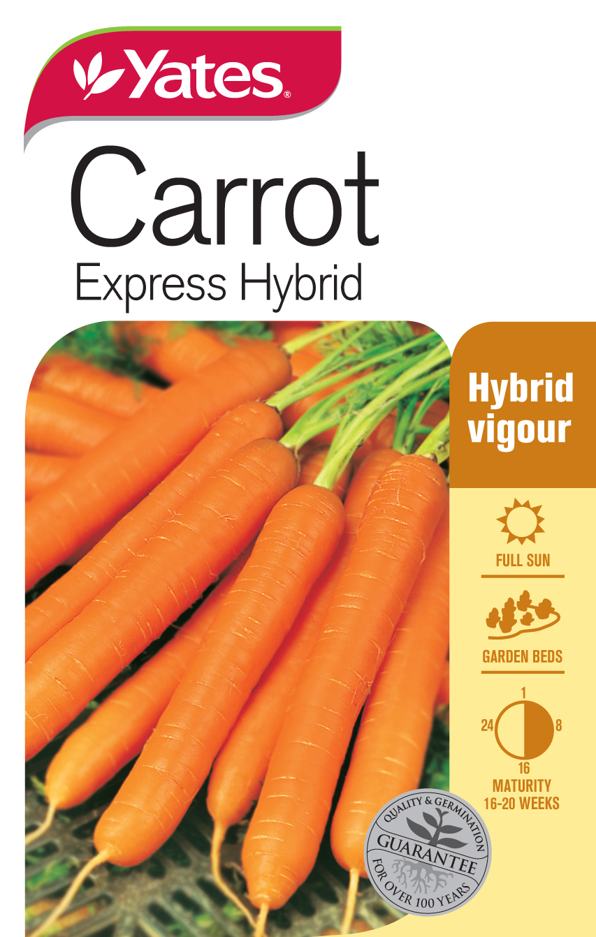 Carrot 'Express' Hybrid