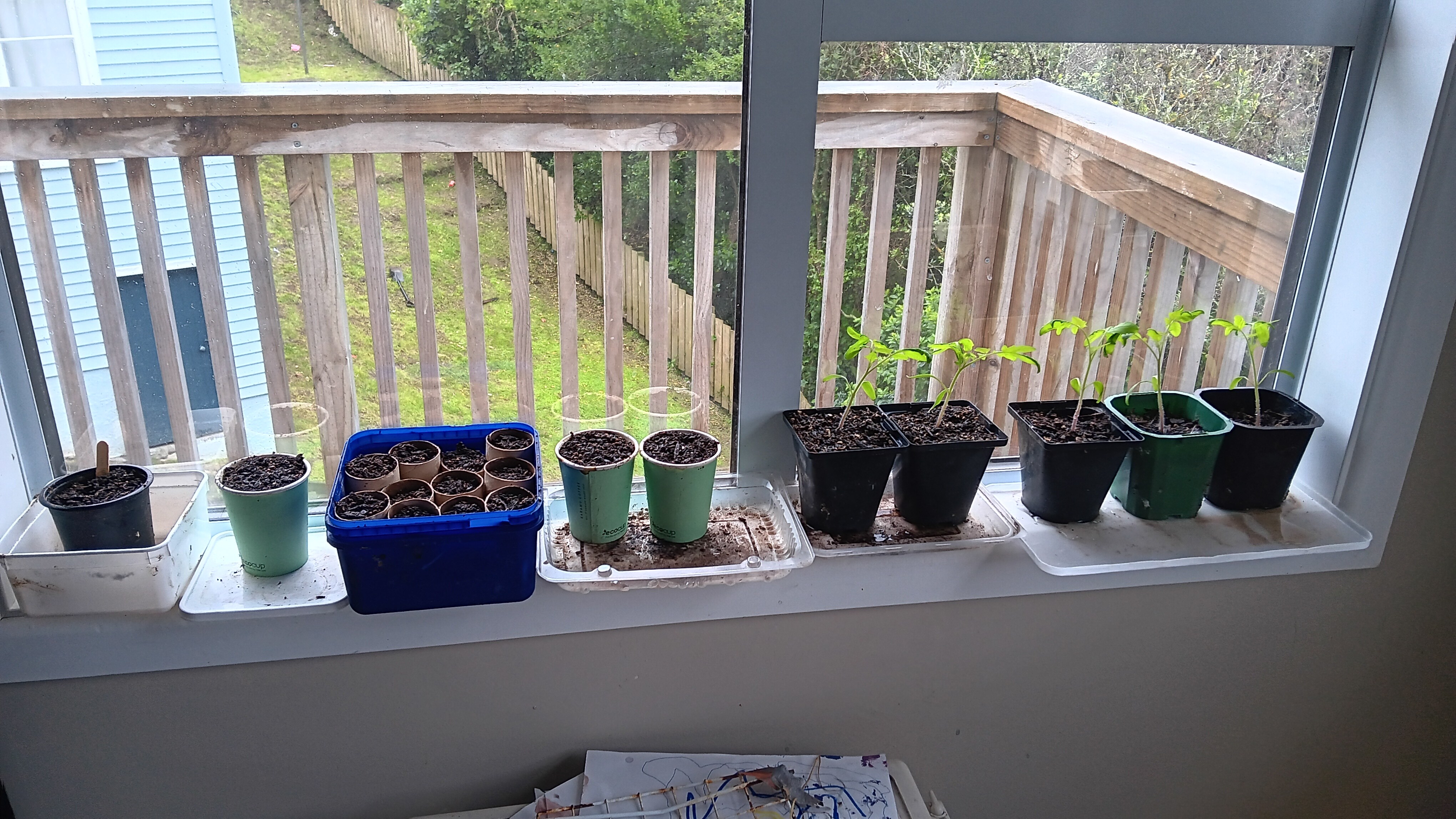 It's raining, it's pouring!