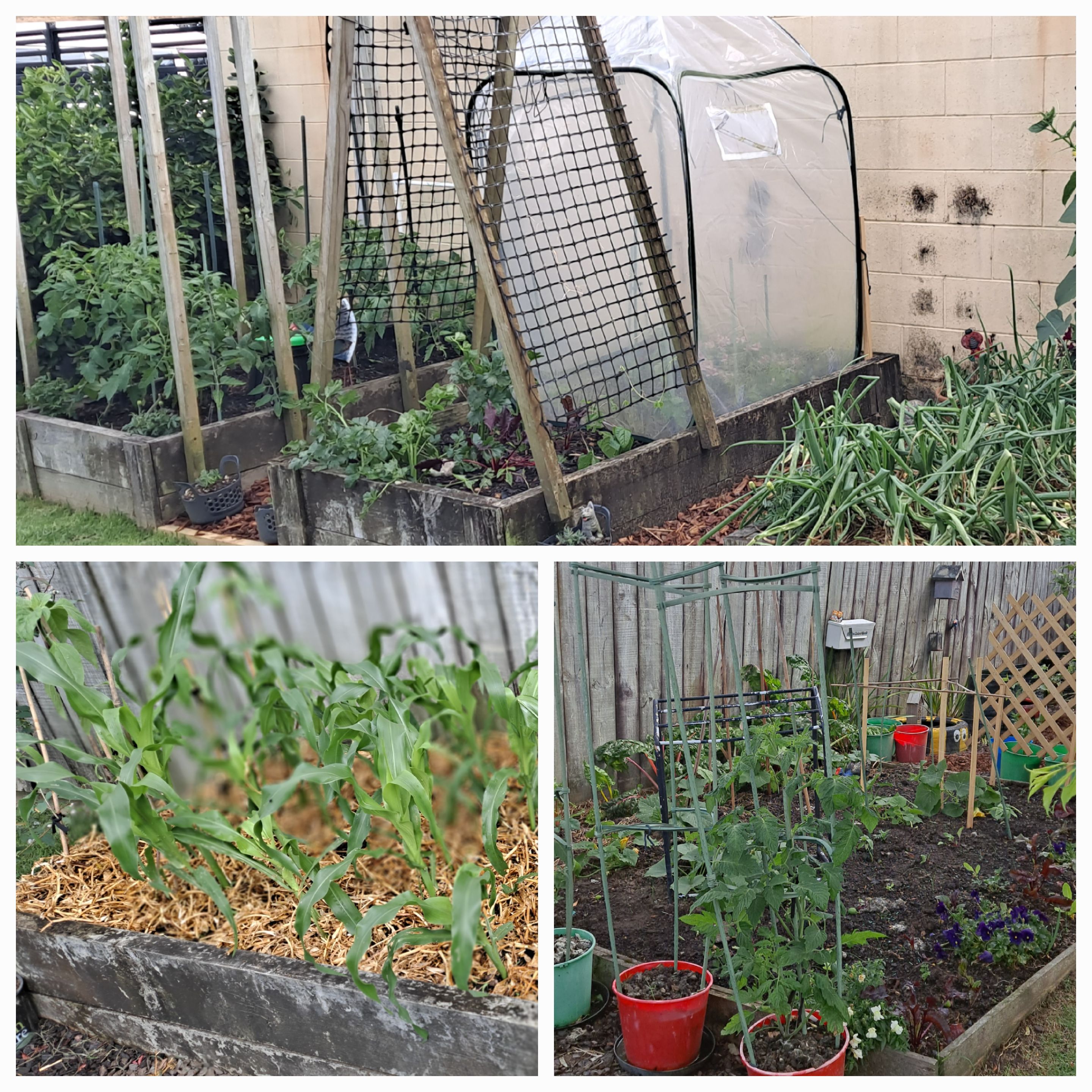 When One Thing Leads To The Next