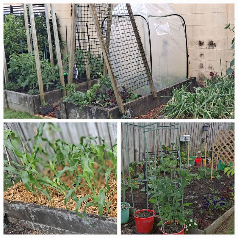 When One Thing Leads To The Next