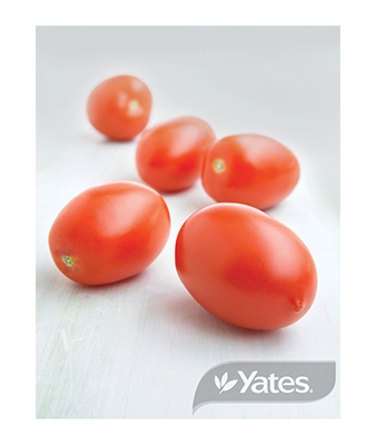 Tomato Roma Product