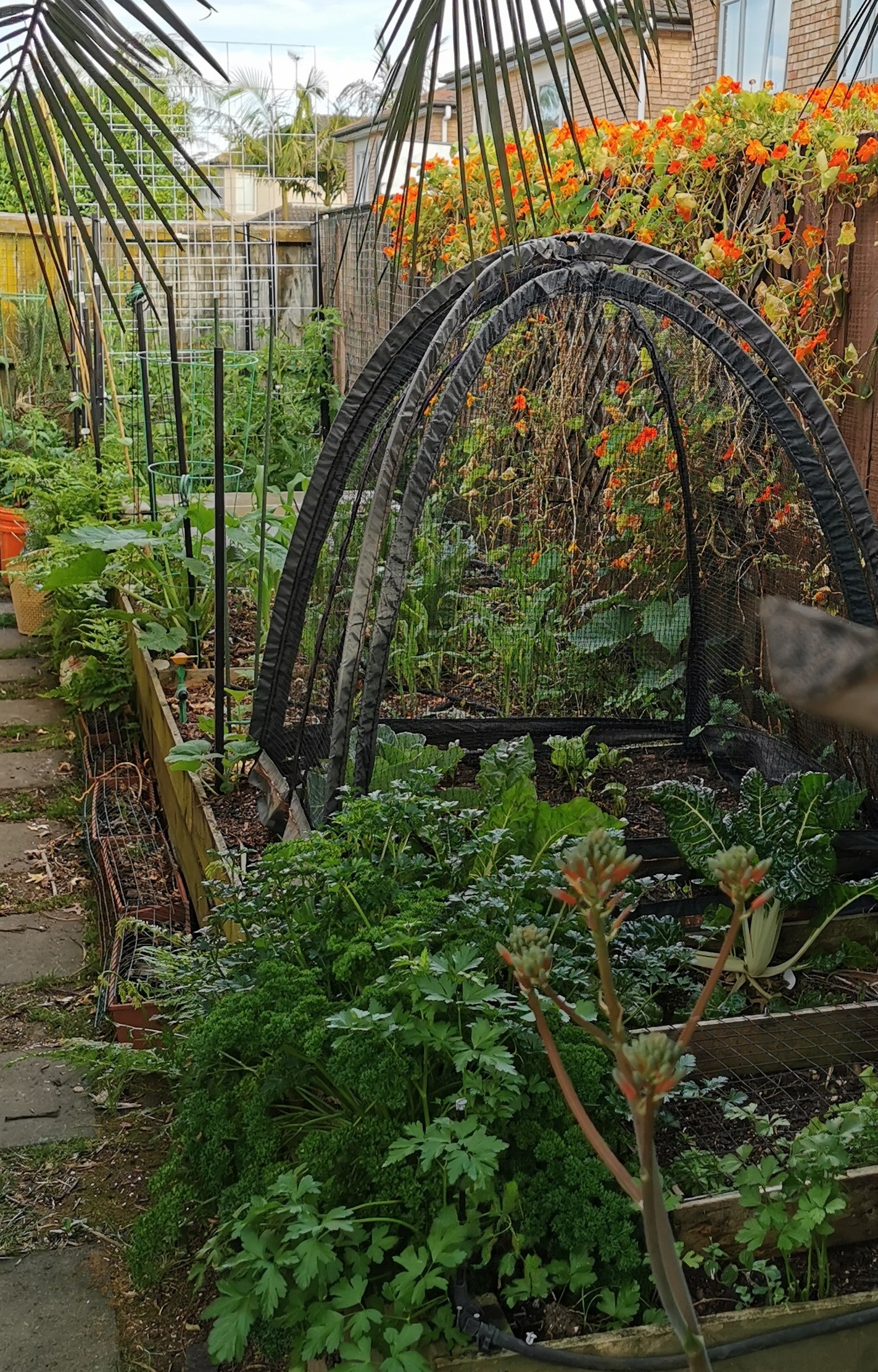  Taking shape... around the corner. 