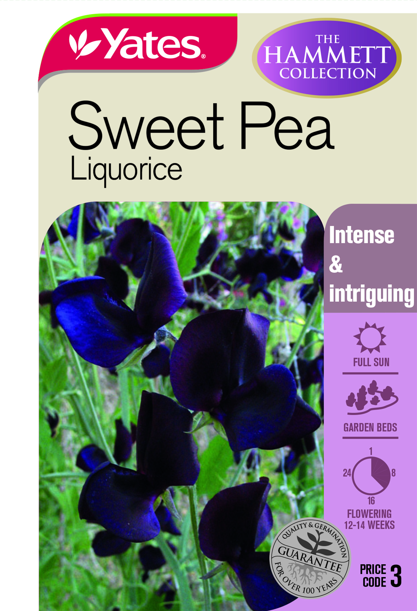 54386 Yates Flower Sweet Pea Hammett Liquorice Packet Seed