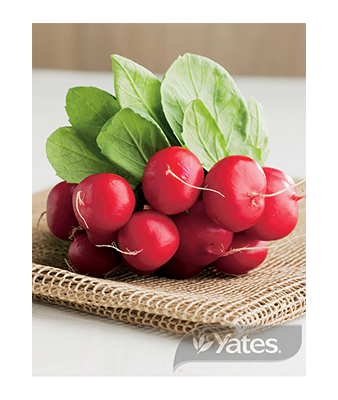 Radish Salad Crunch Product