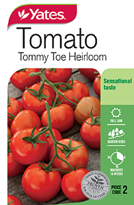 Tomato 'Tommy Toe' Heirloom