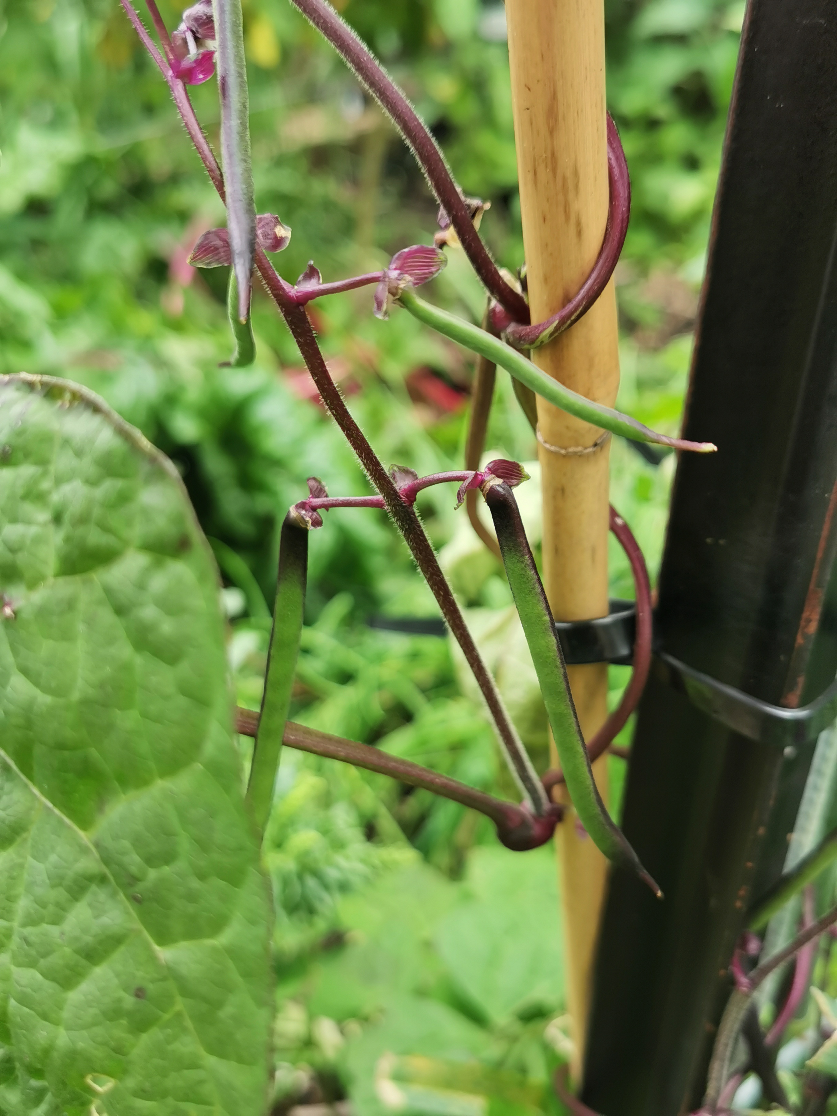  Some bean busy, some not. 