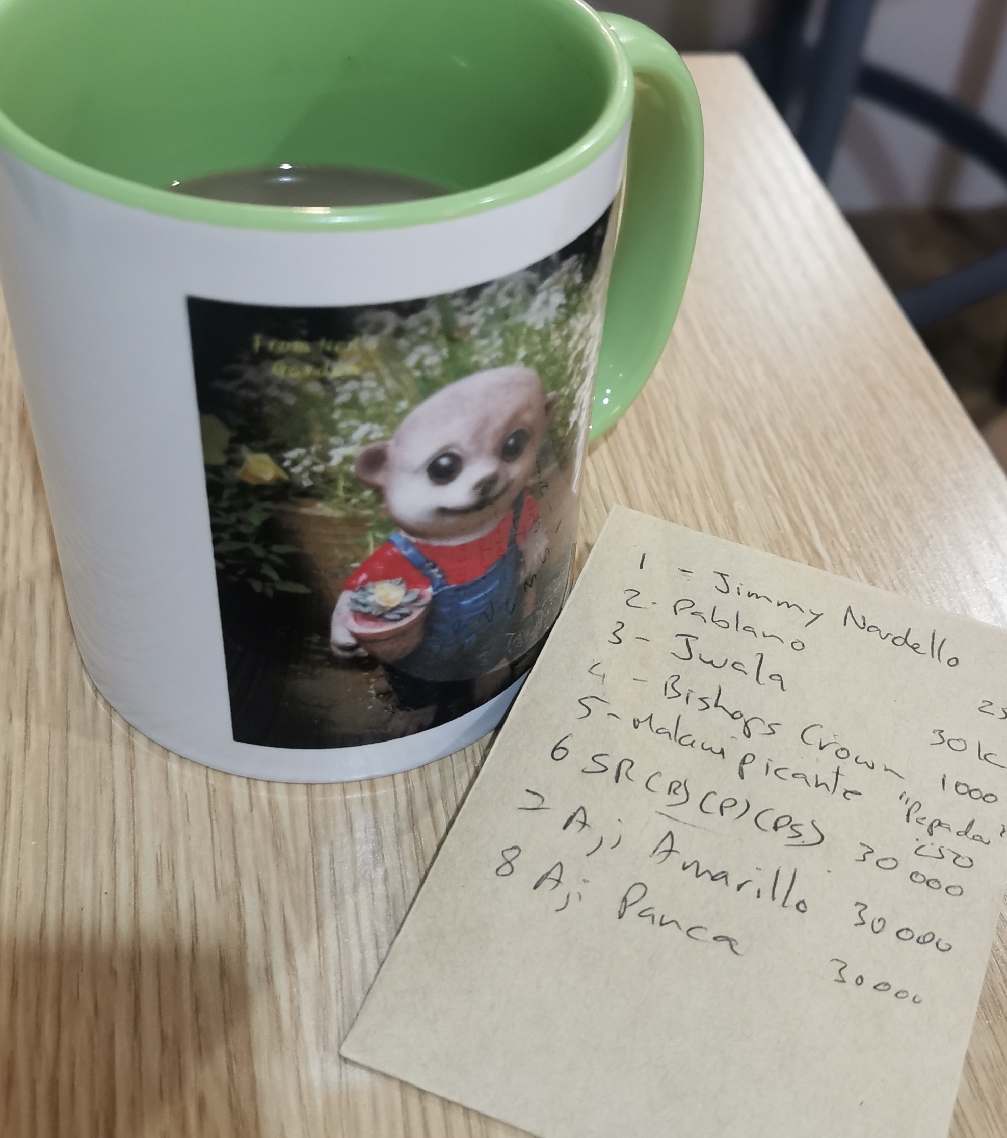 Chillis seed selection for a friend. 