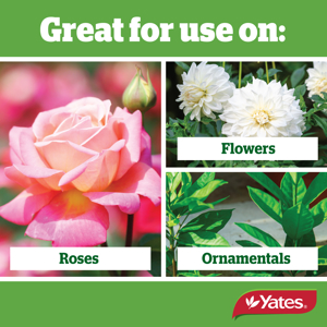 Yates Super Shield Rose Spray