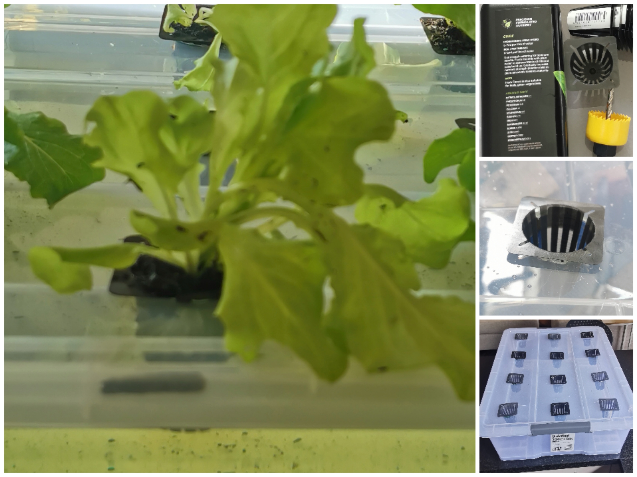 Adding a little bit of Hydroponics