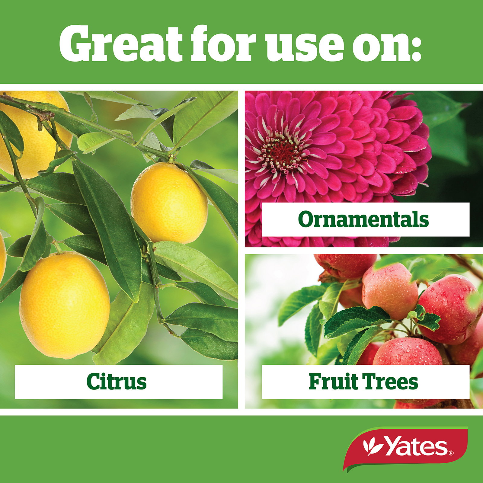 Yates Web Info CITRUS,VEG,Ornav2 03