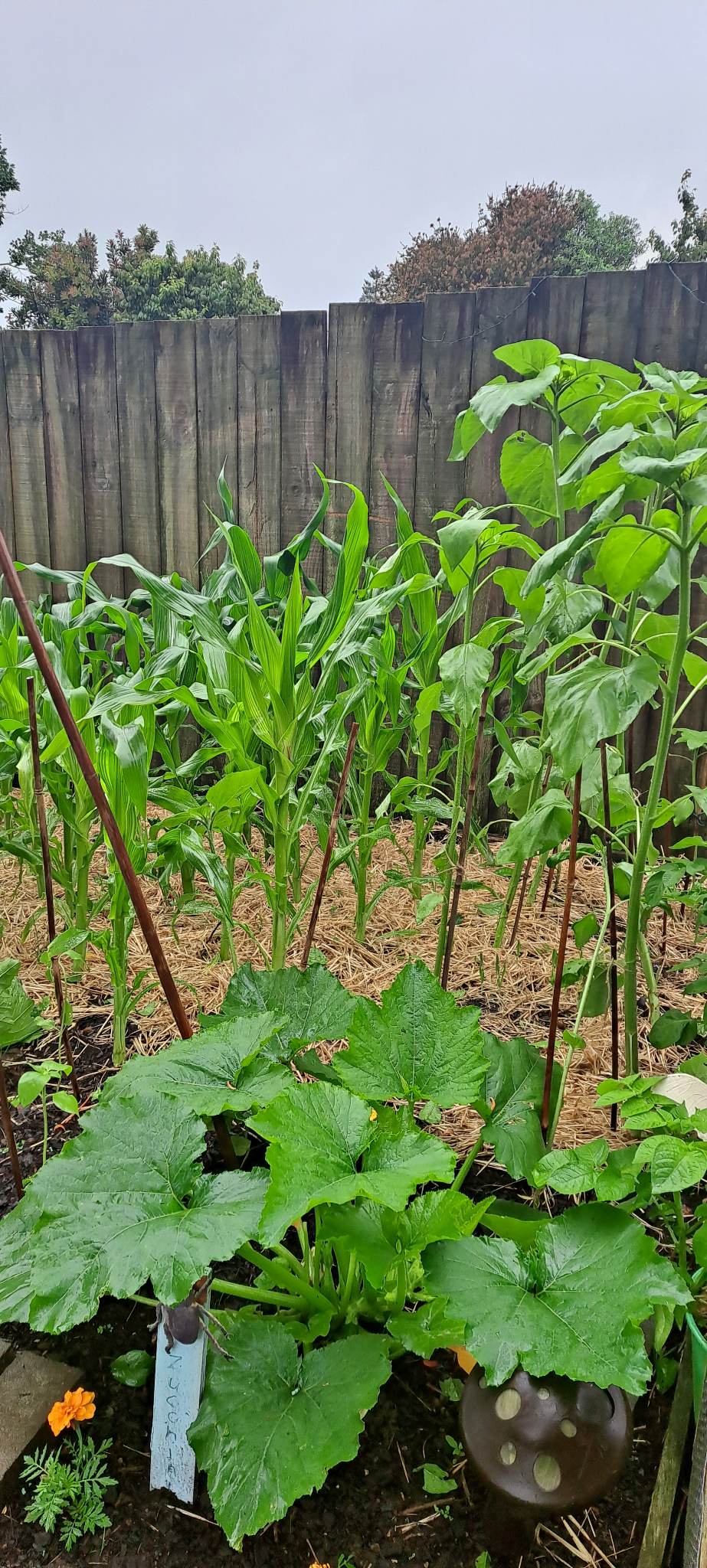 A wet and blustery night