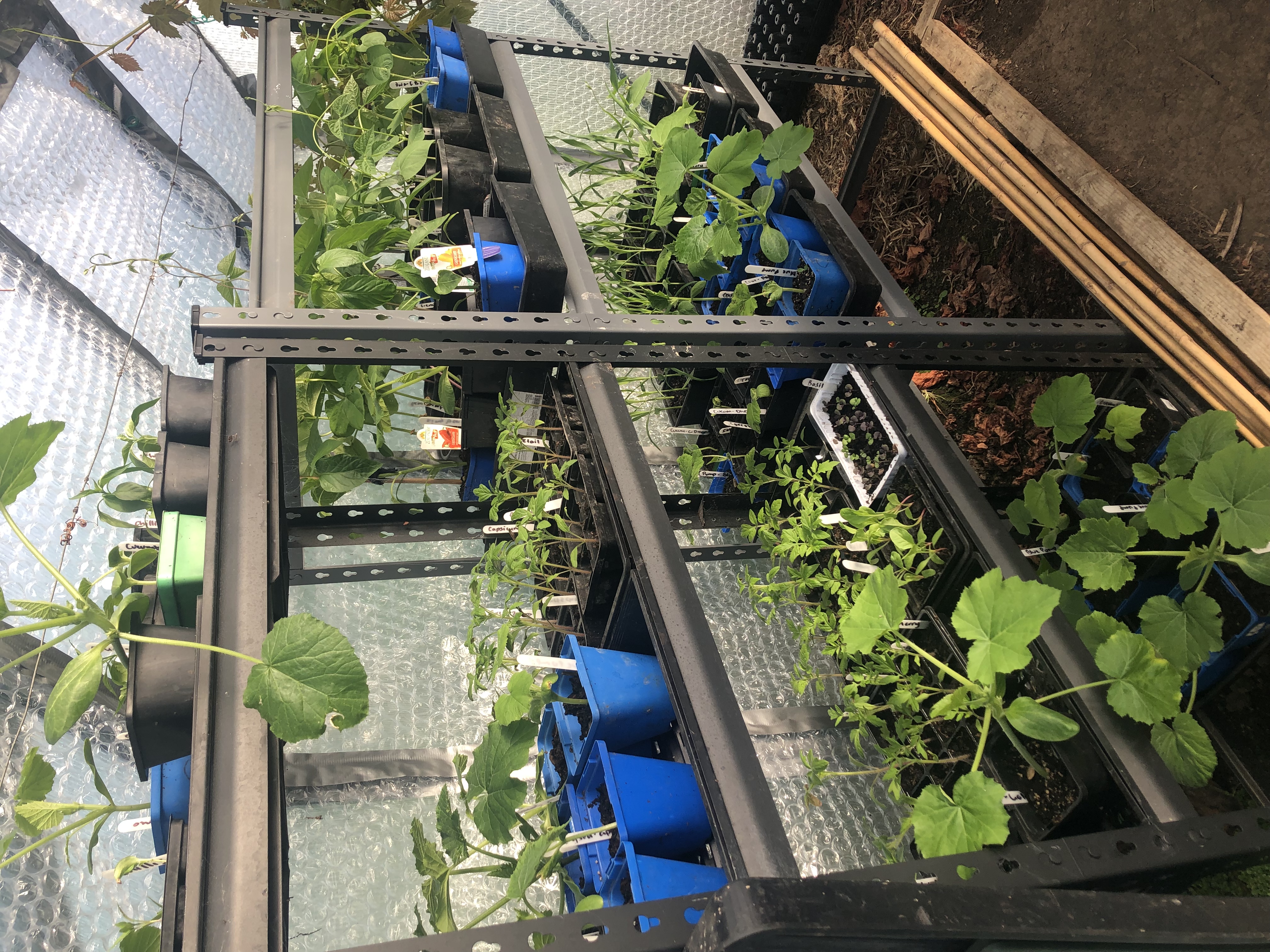 Home, back to my happy place