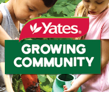 Growing Community