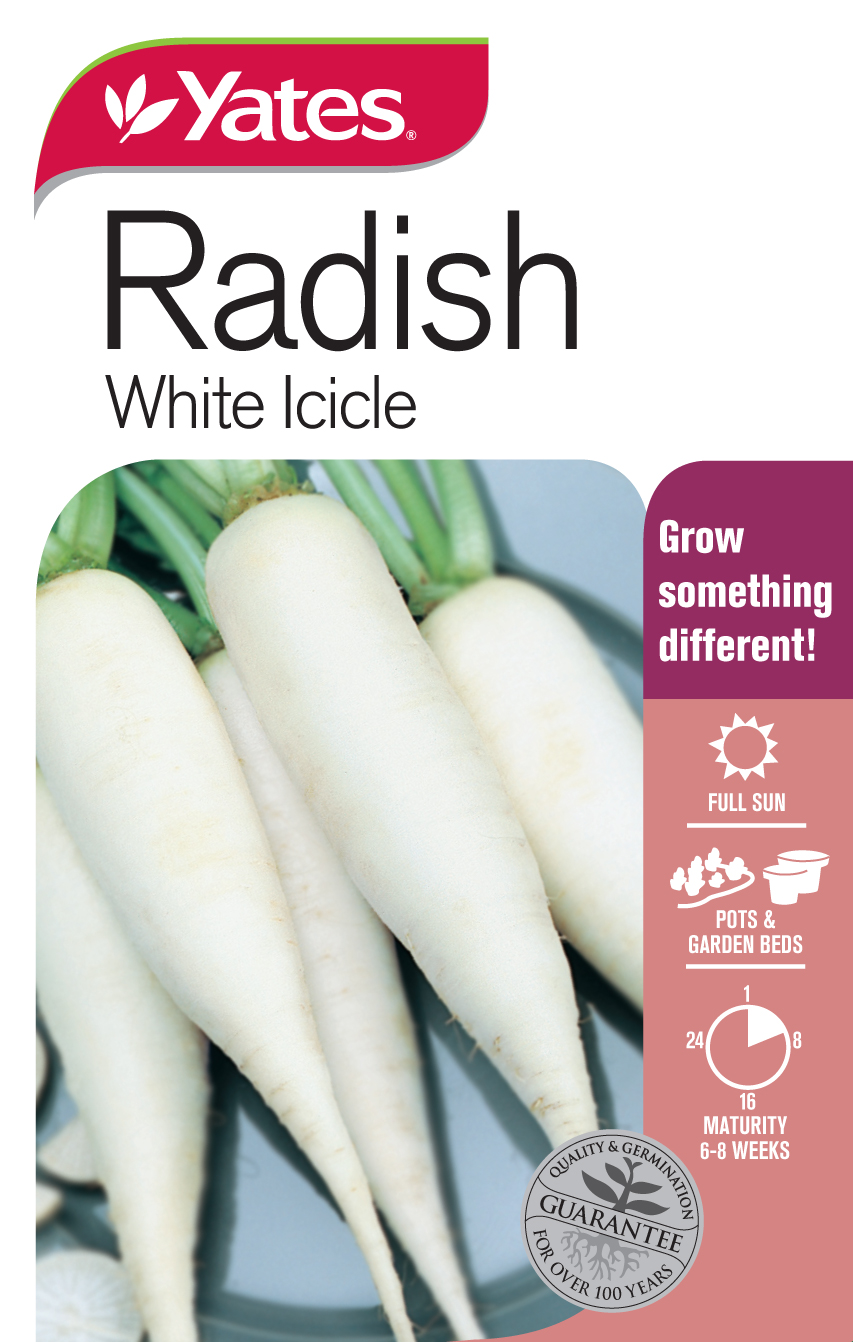 Radish 'White Icicle'