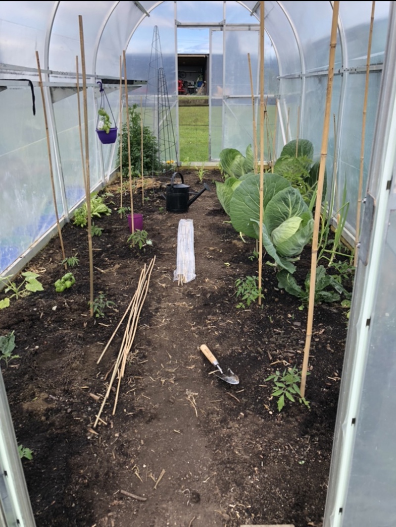 Over seed sowing panic!