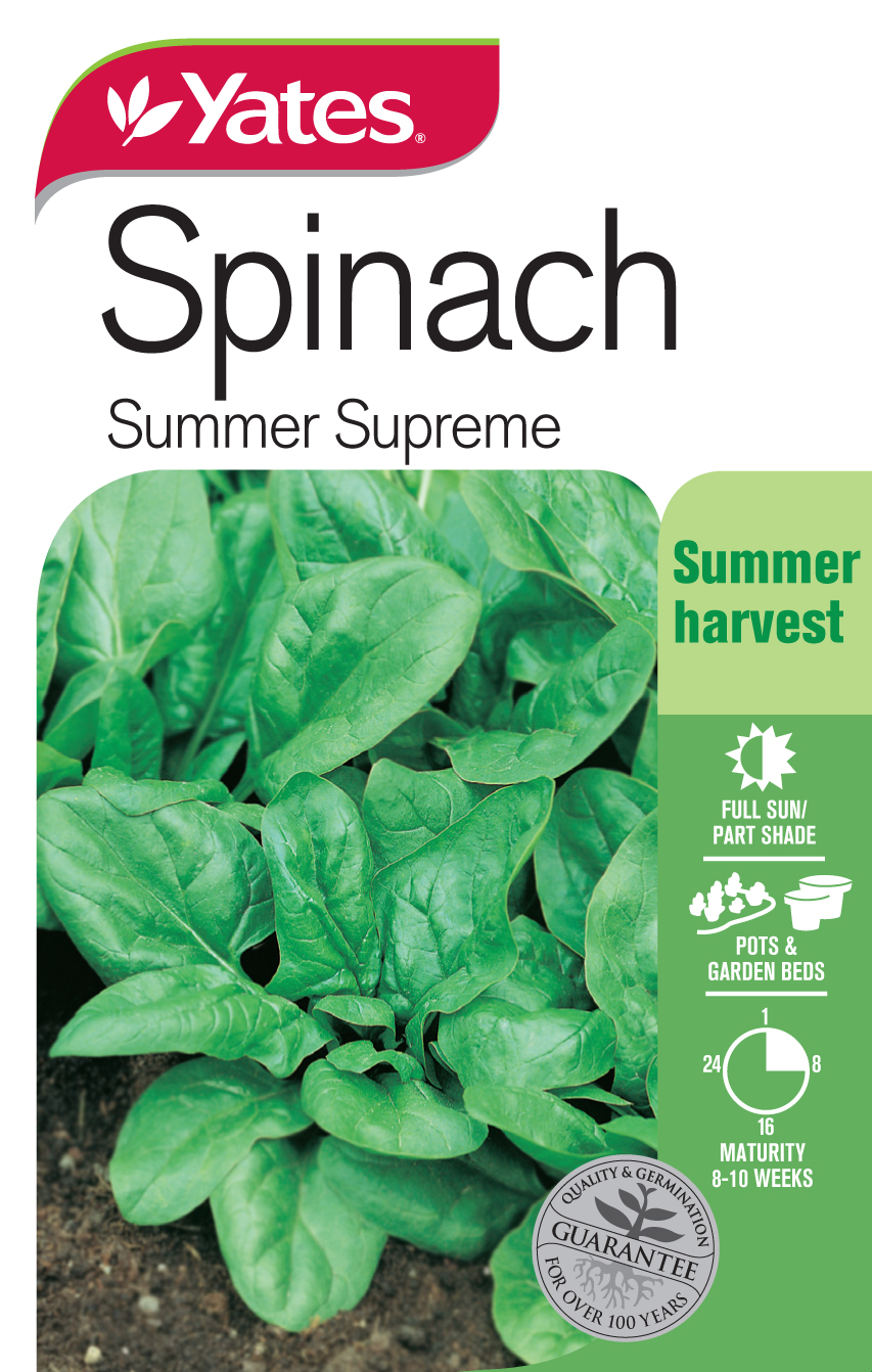 Spinach 'Summer Supreme'