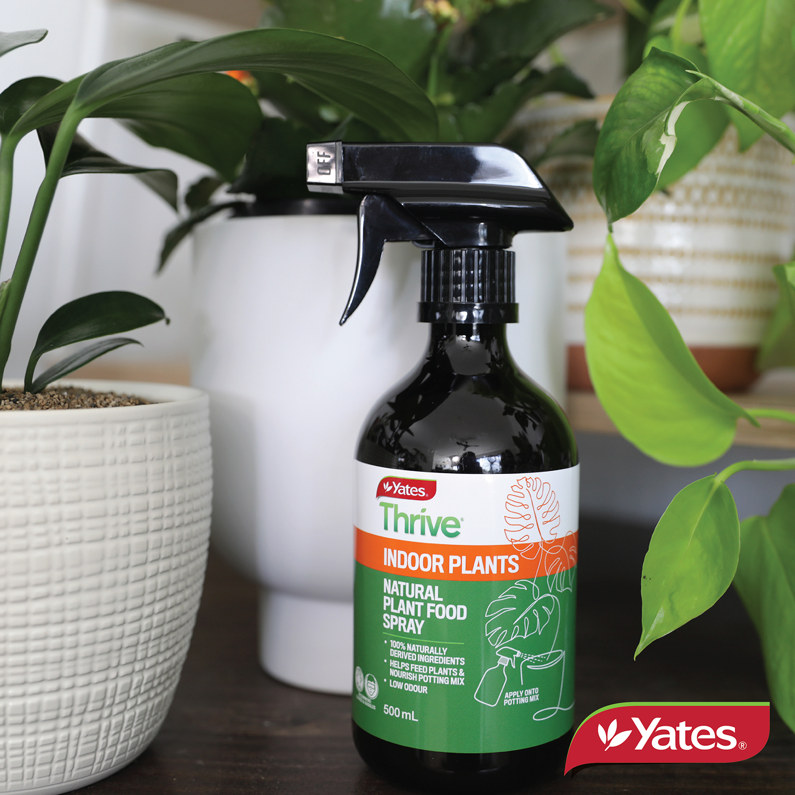 Yates Indoor Spray V2 06