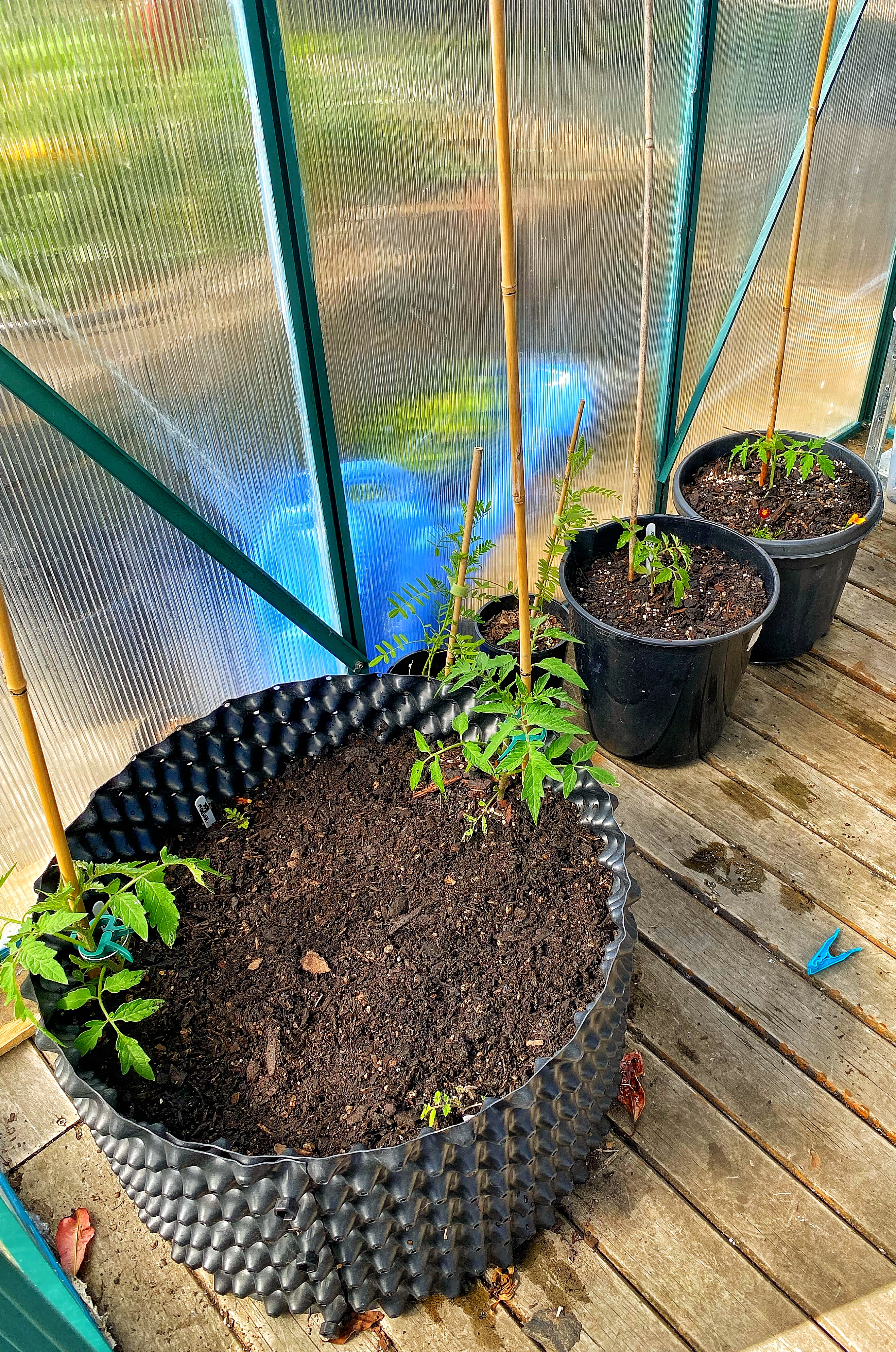 …still on the Toms…