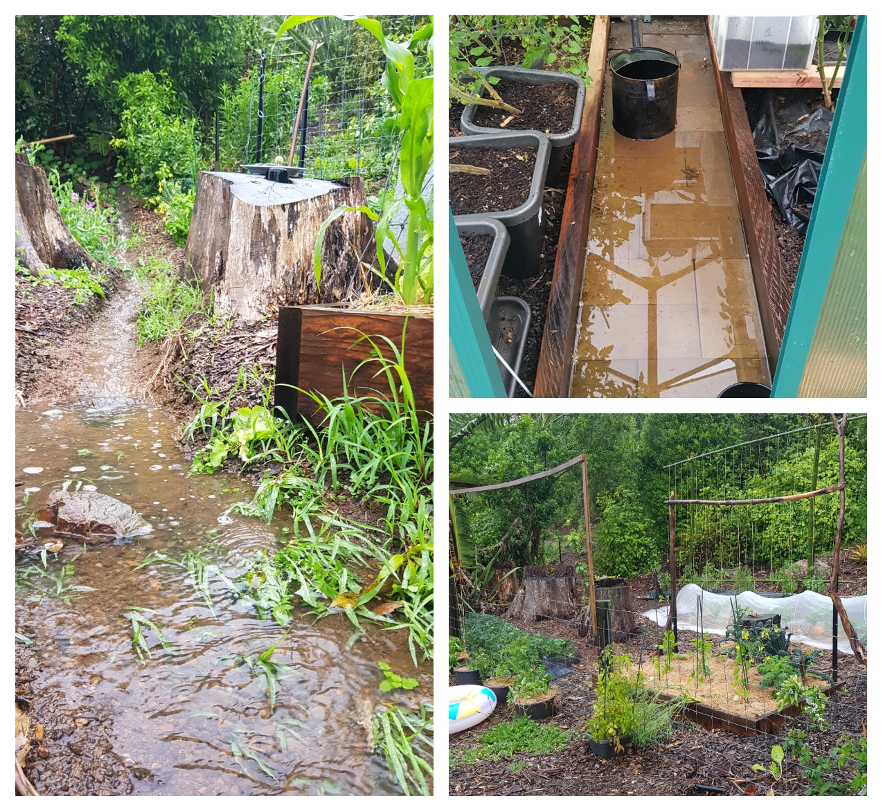 Rushing Wind, Pouring Rain