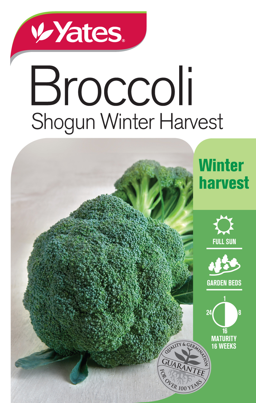 32560 Yates Vege Broccoli Shogun Packet Seed