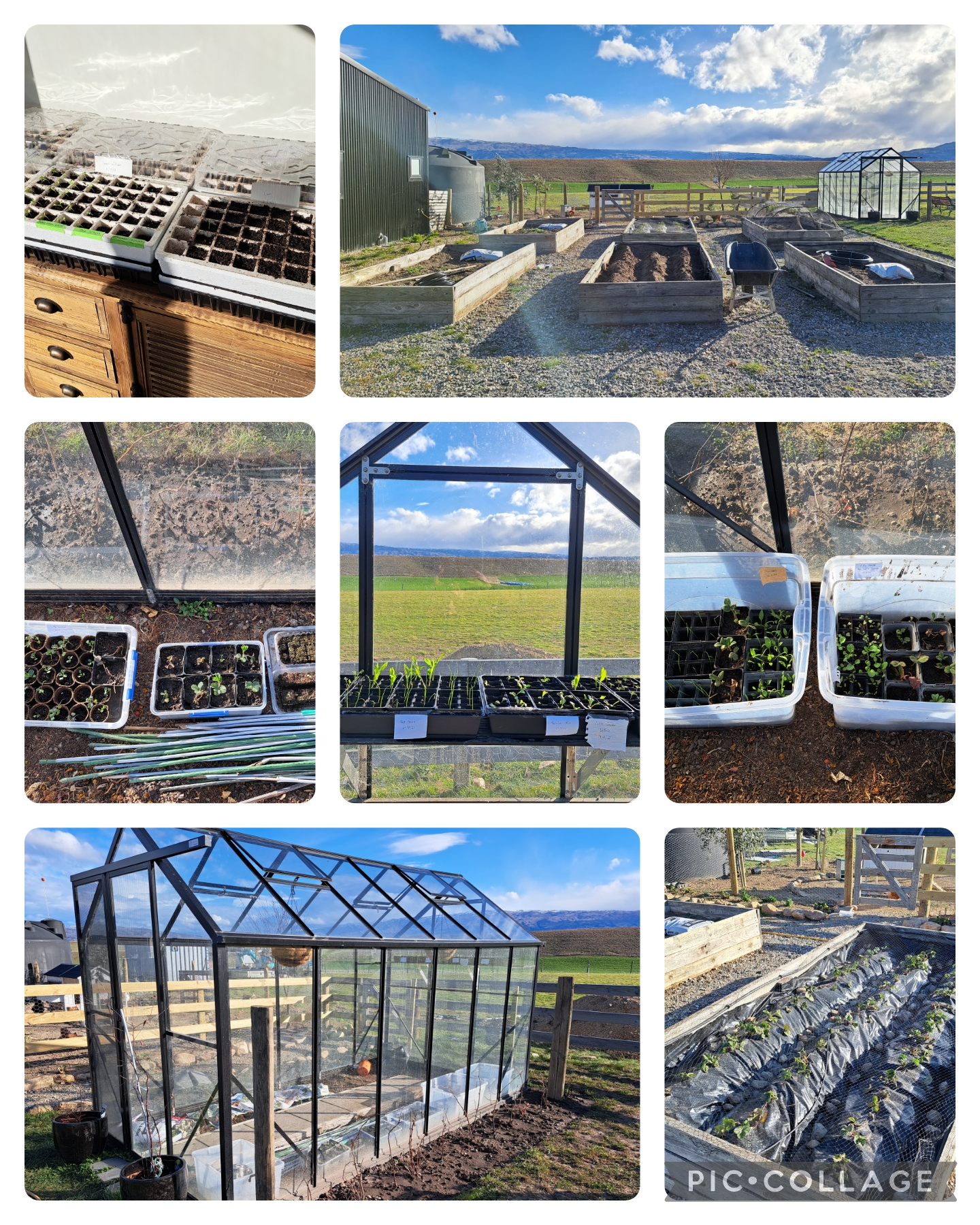 Mid September in my garden