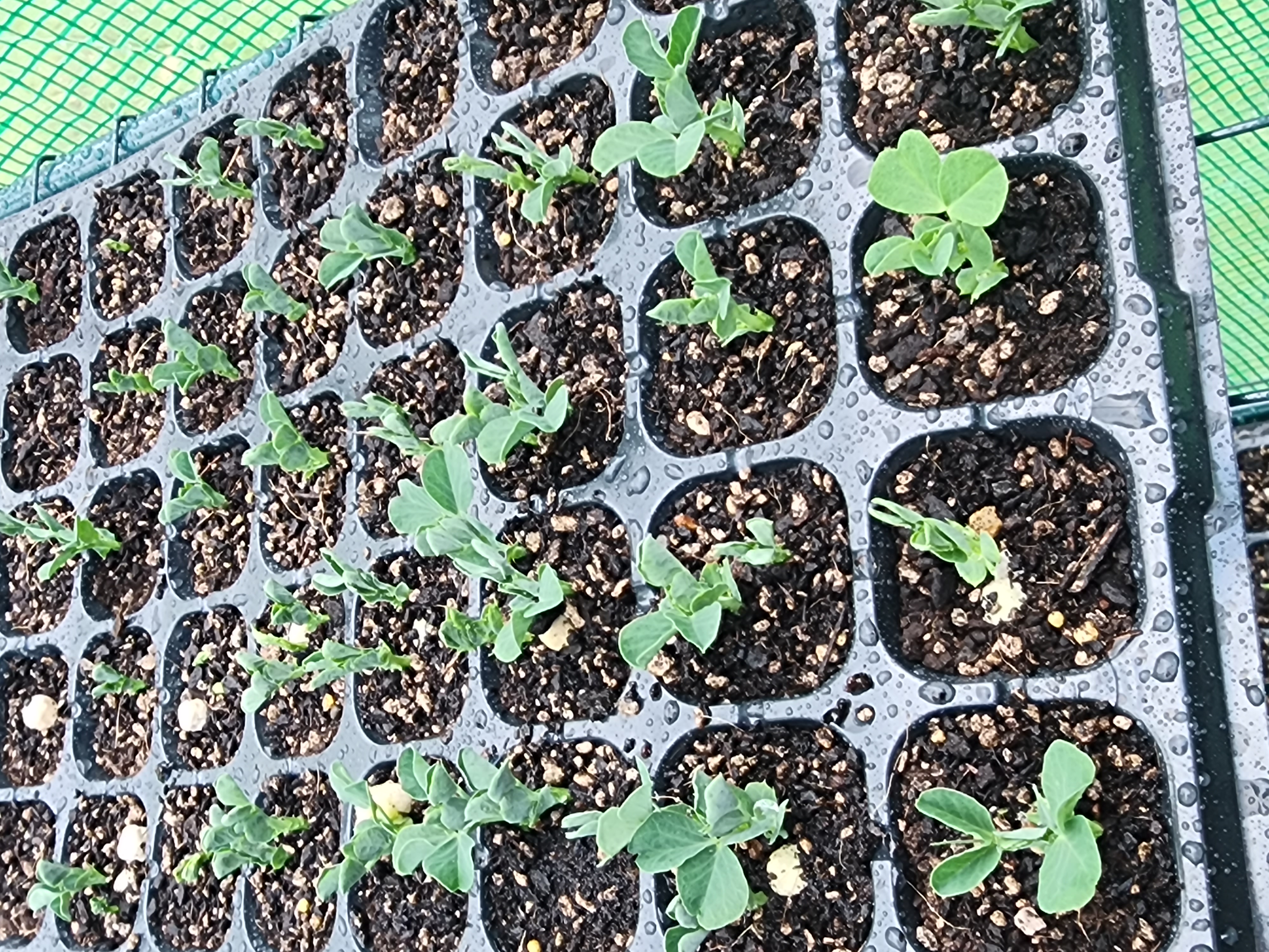 Good Morning Monday! 