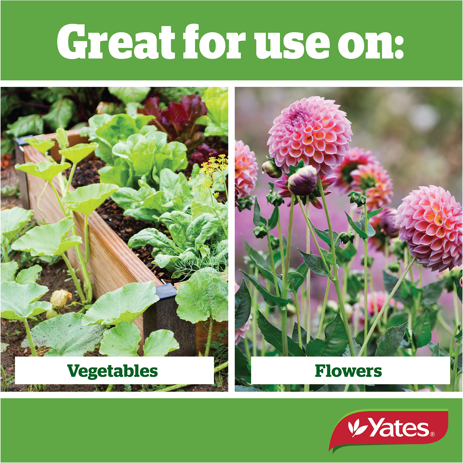 Yates Blood & Bone Fert V2 03