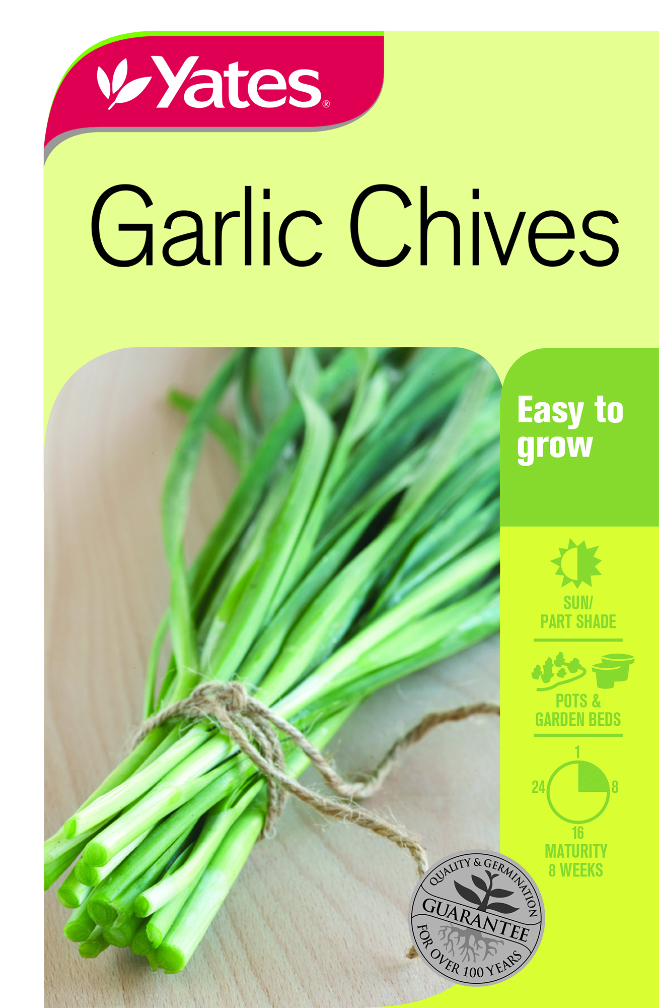 Garlic Chives - 'Gow Choy'