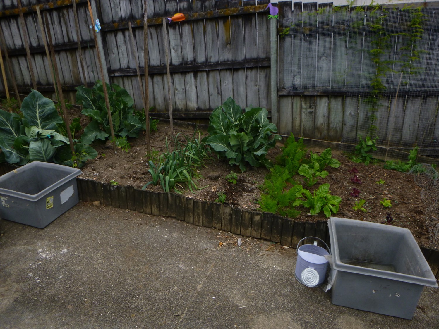 Thinking about water.....