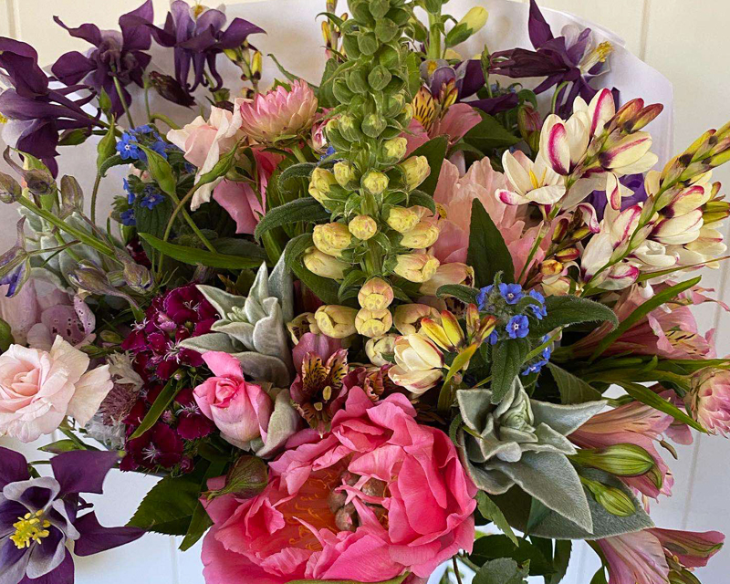 Helen Joy Article Thumb